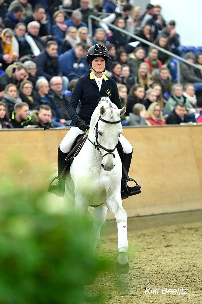 B - Hengste On Tour – Vingino Auf Der Hengstschau In Bern 23. Februar ...